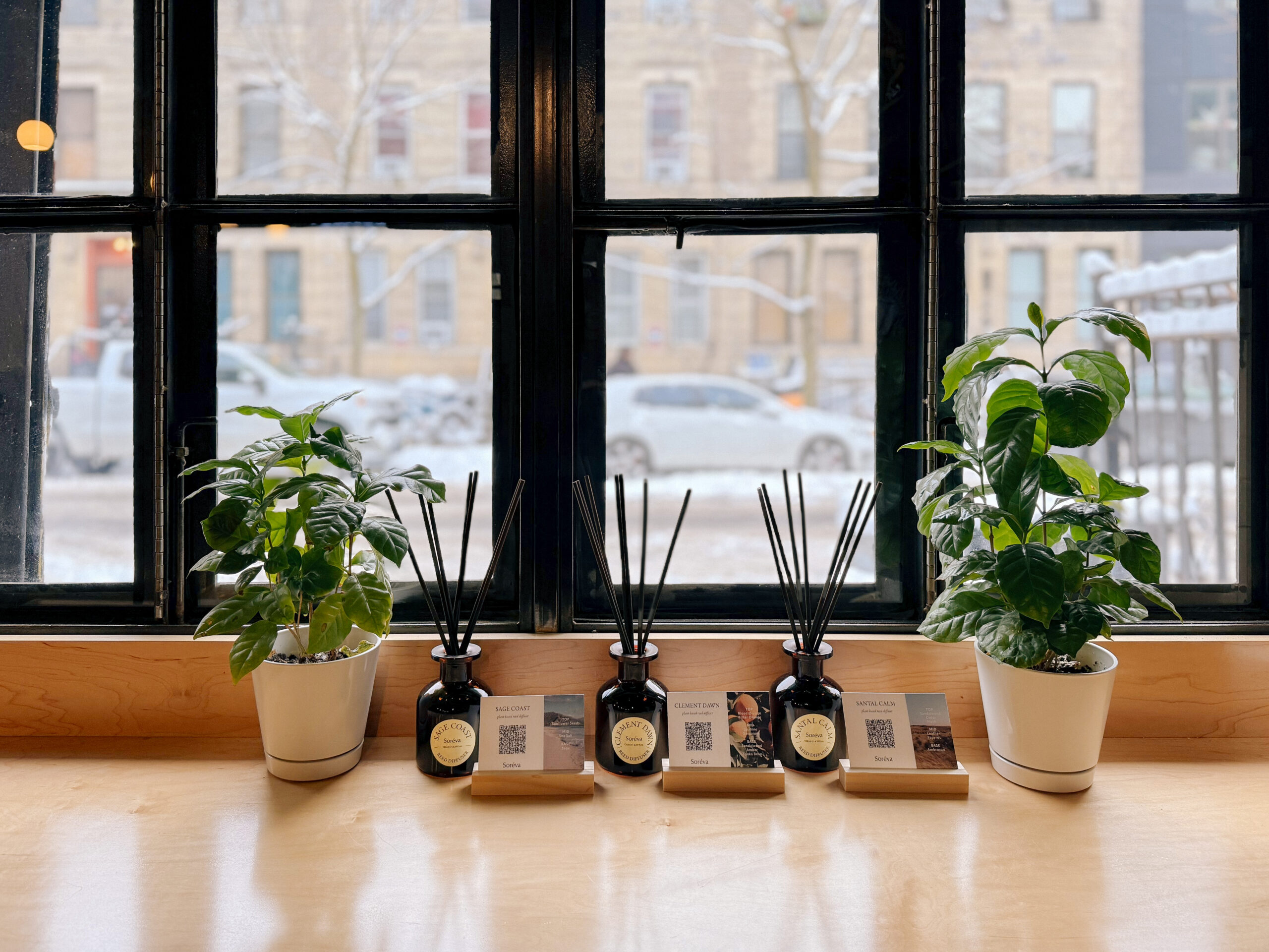 Obscure Coffee Roasters