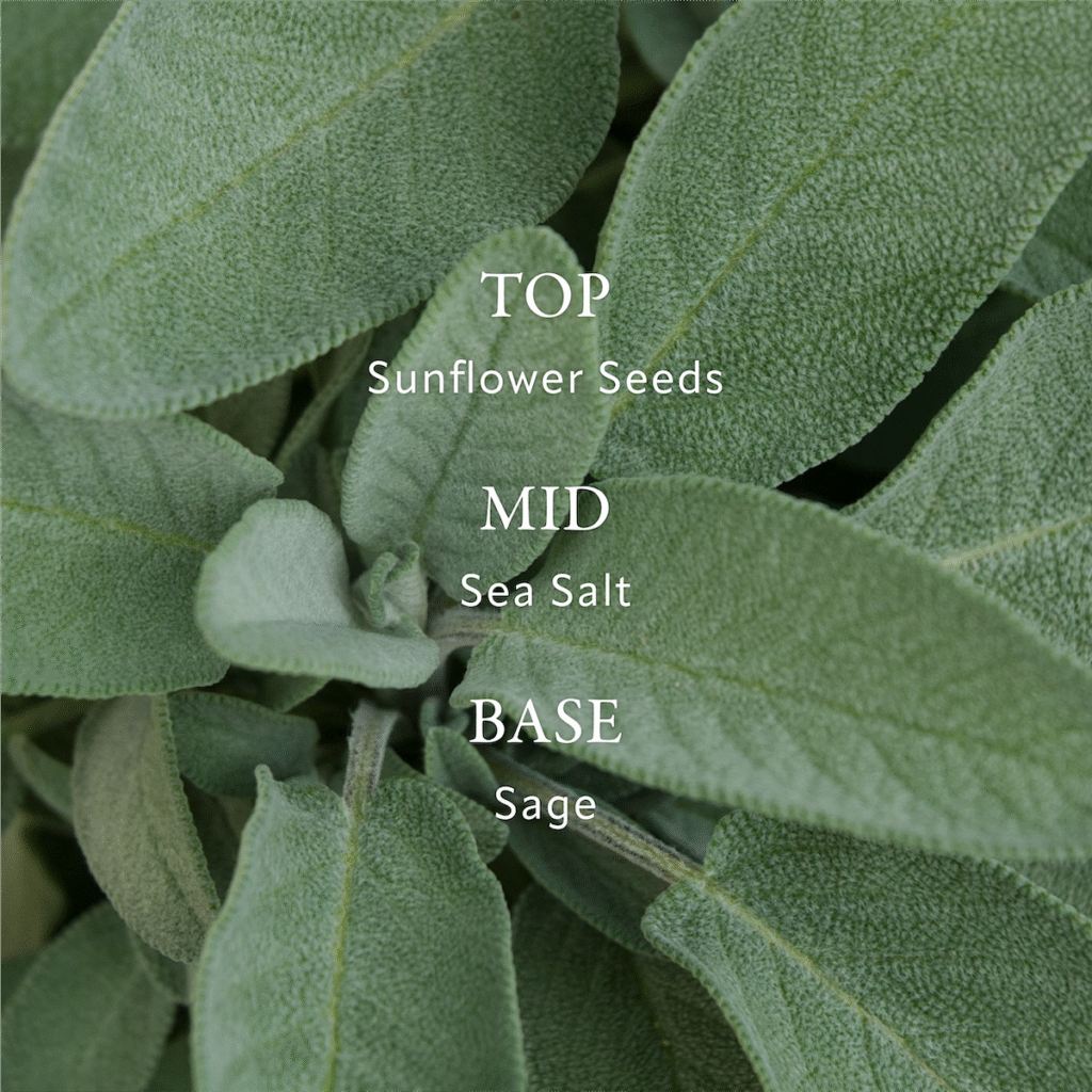 0127 soreva amazon carousel 05