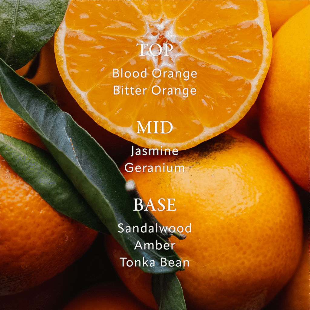 0127 soreva amazon carousel 20